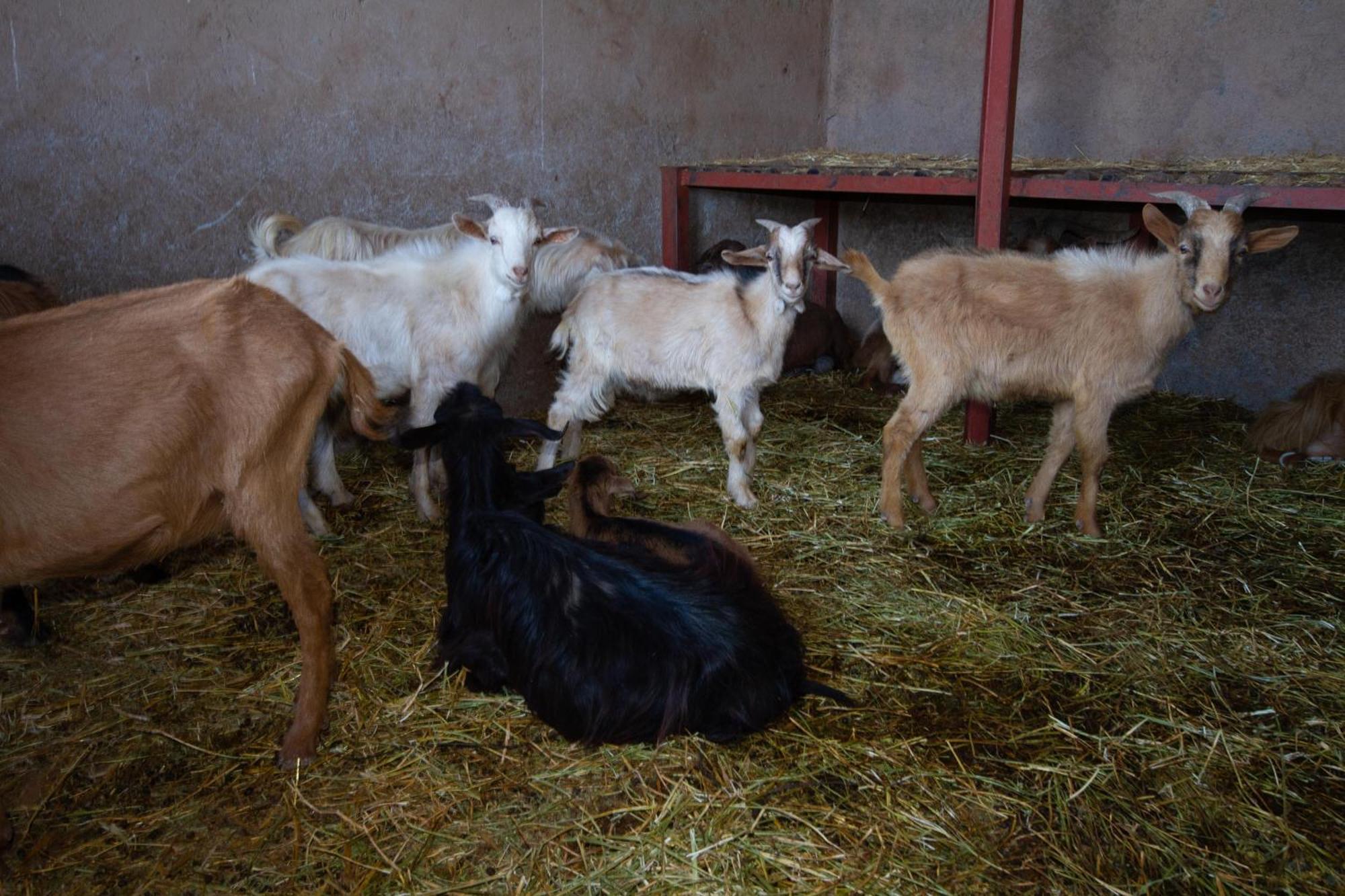 La Ferme De Lalladom Tameslouht Dış mekan fotoğraf