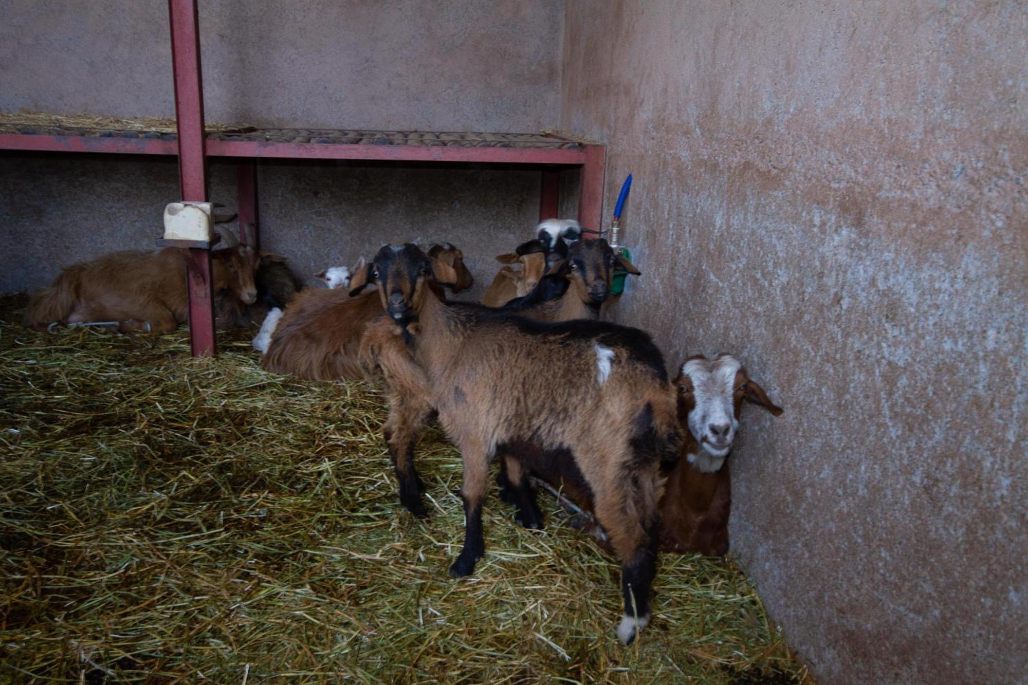 La Ferme De Lalladom Tameslouht Dış mekan fotoğraf