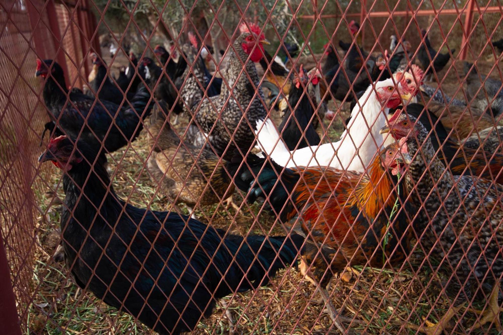 La Ferme De Lalladom Tameslouht Dış mekan fotoğraf