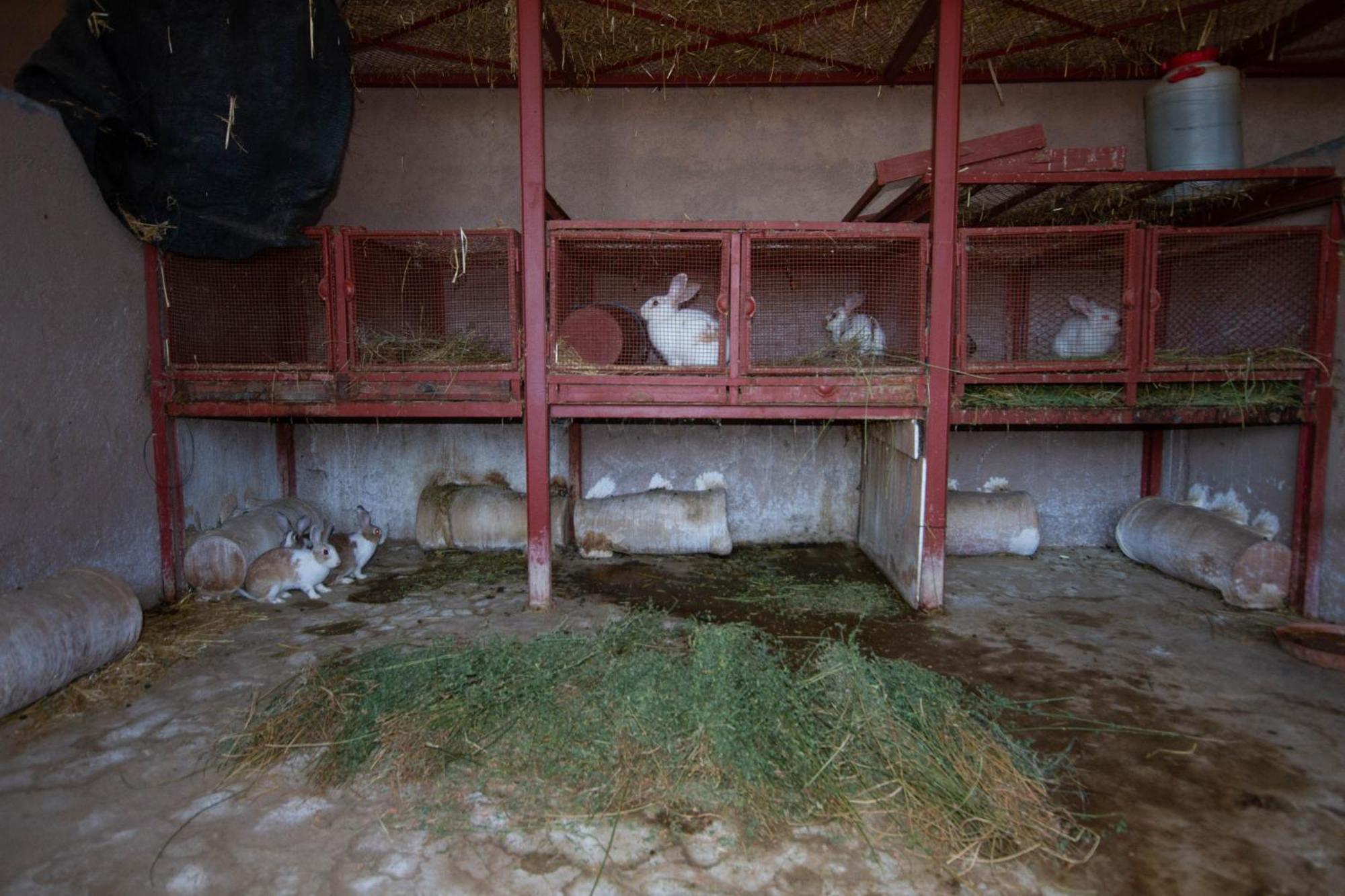 La Ferme De Lalladom Tameslouht Dış mekan fotoğraf