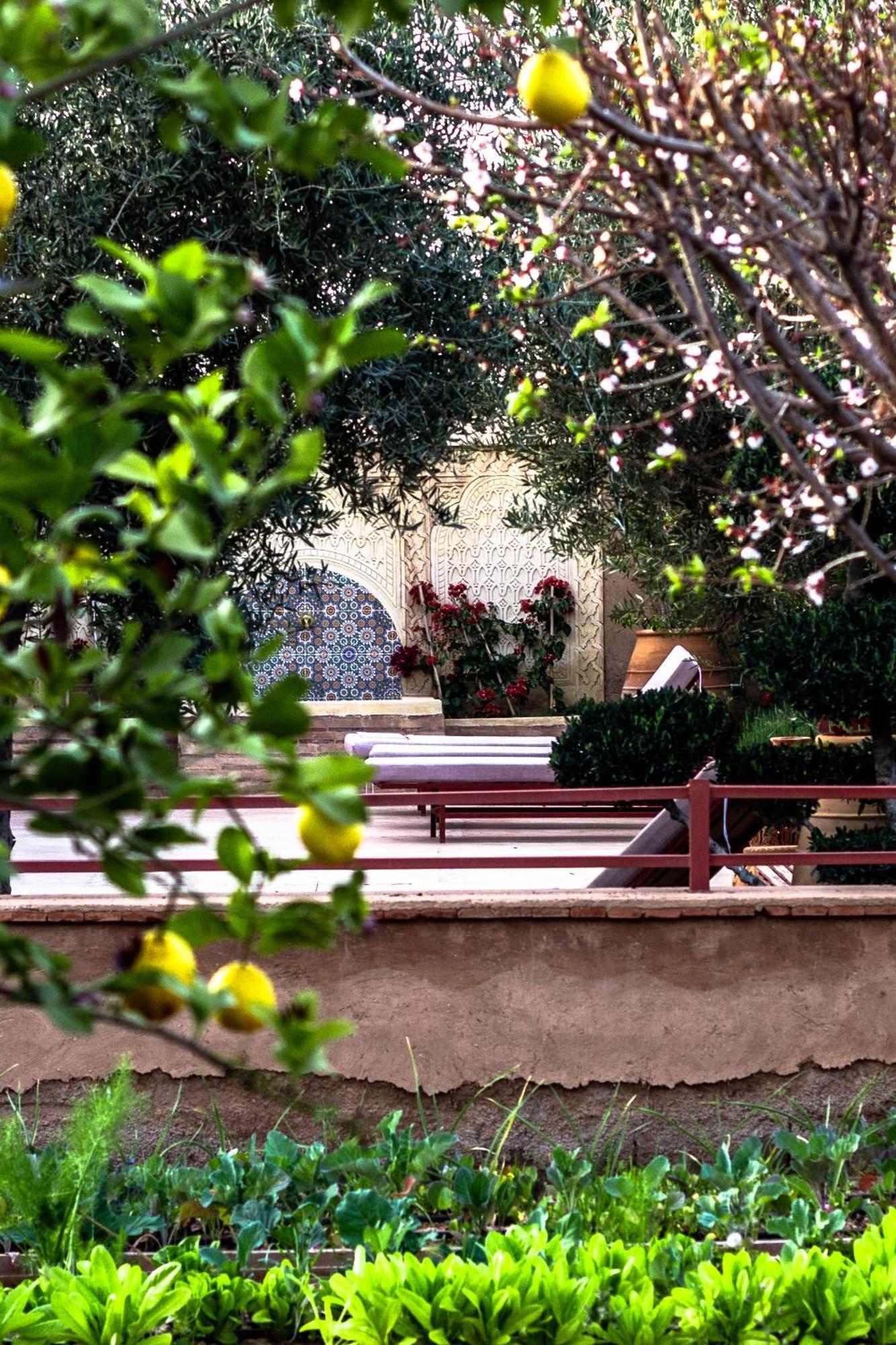 La Ferme De Lalladom Tameslouht Dış mekan fotoğraf